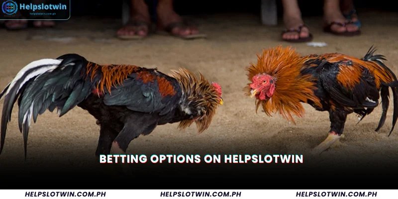 Betting Options on HelpSlotWin