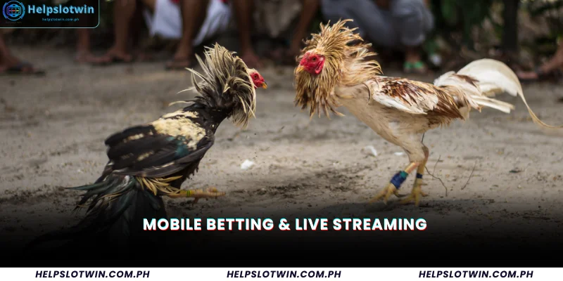 Mobile Betting & Live Streaming