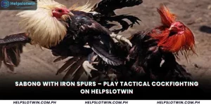 Sabong with Iron Spurs