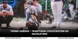 Thomo Sabong