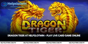 dragon tiger at helpslotwin