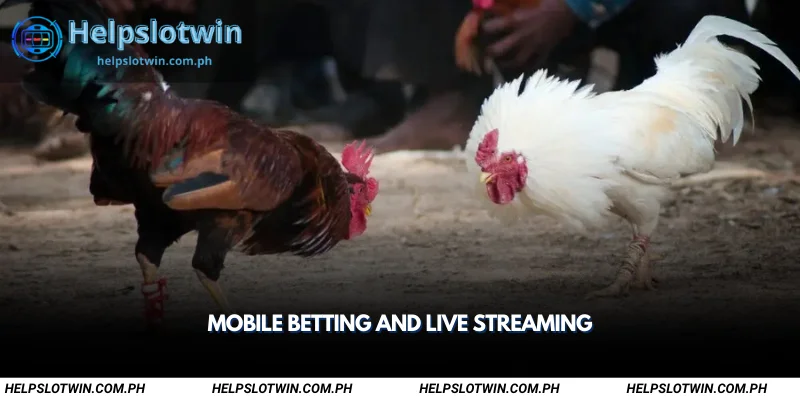 mobile betting and live streaming